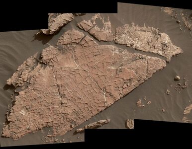 Błoto na Marsie? Curiosity dokonał kolejnego przełomowego odkrycia