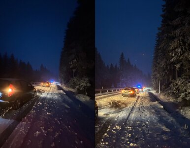 Miniatura: Atak zimy na Dolnym Śląsku. Pasażerowie...