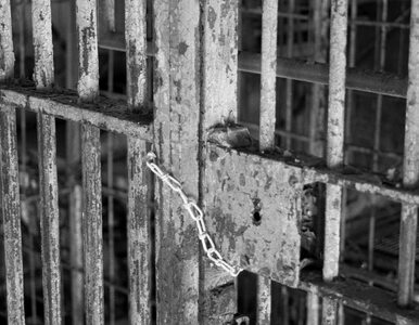Miniatura: Ostatni zachodni więzień opuścił Guantanamo