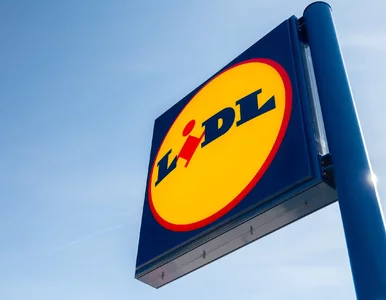 Miniatura: Lidl udostępnił najnowszą gazetkę...