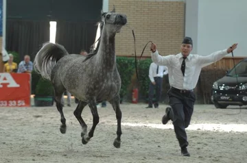 Fot. A. Jagielak/ Wprost