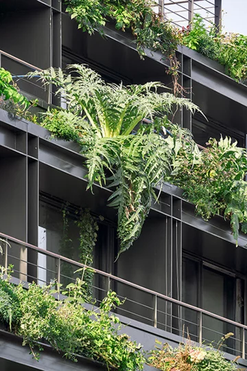 Villa M w Paryżu, ekologiczna architektura low-tech, projekt Triptyque v2com, 2001-01, Triptyque, Paryż, zielona ściana, zielony dach