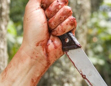 Miniatura: 19 ciosów nożem. 2 nastolatki dźgały swoją...