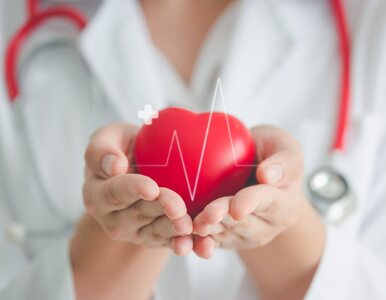 Budowa serca – anatomia, funkcje, położenie serca