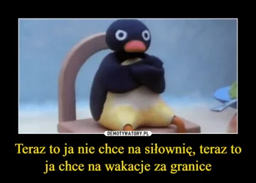 Minęła połowa wakacji. Internauci publikują memy 