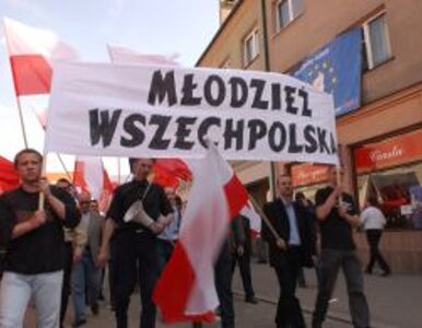 Miniatura: Młodzież Wszechpolska nie kończy działalności