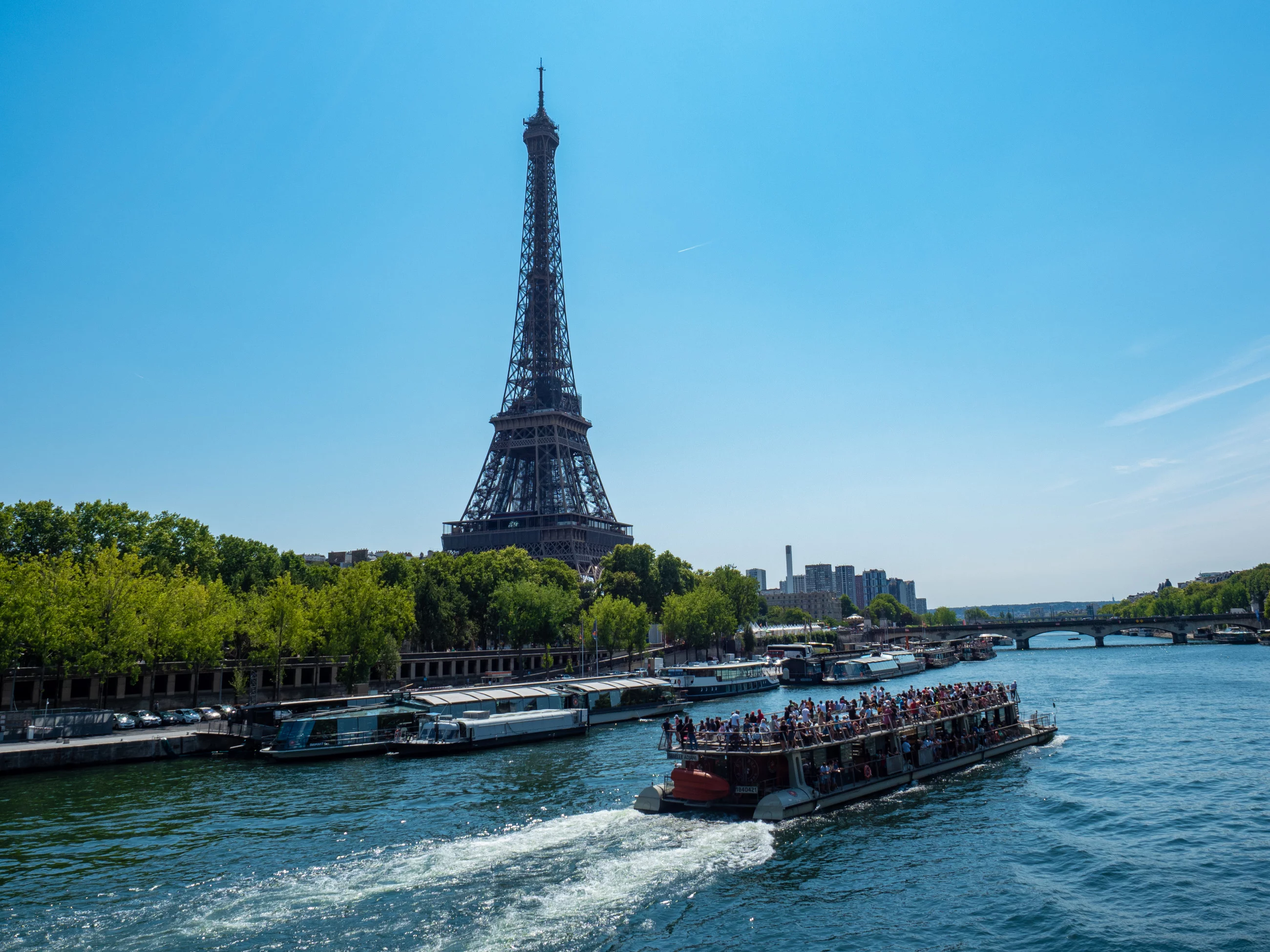 Quiz z wiedzy ogólnej na niedzielę. Prawda czy fałsz?