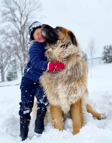 Lamont i jego przyjaciele 