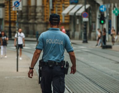 Miniatura: Polka wśród podejrzanych o 10 podpaleń w...