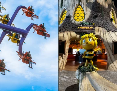 Miniatura: Przetestowaliśmy park rozrywki pod...