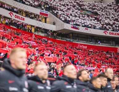 Miniatura: Kluczowy mecz reprezentacji Polski na PGE...