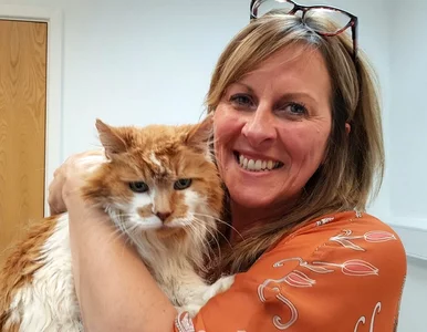 Miniatura: Tak wygląda najstarszy kot na świecie?...