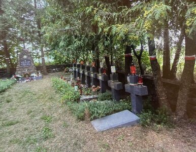 Miniatura: Białorusini zrównali z ziemią cmentarz...