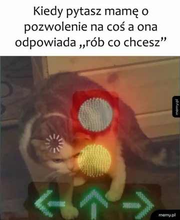 Mem z okazji Dnia Matki 