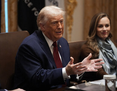 Miniatura: Trump ciepło o Polsce. Za to pochwalił...