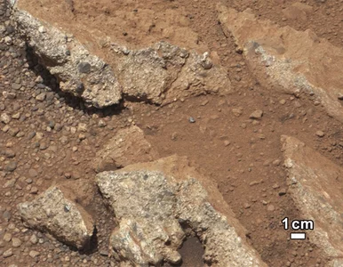 Miniatura: Woda sięgała do pasa. Curiosity znalazł...