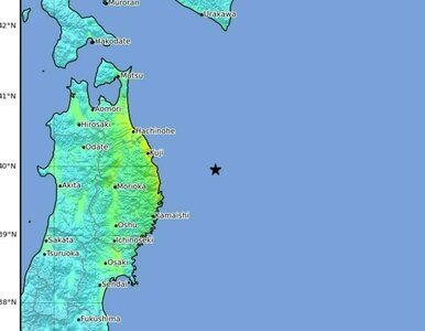 Miniatura: Potężne trzęsienie ziemi u wybrzeży...