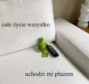 Mem frogshoposting 
