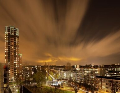 Miniatura: W Rotterdamie powstał hotel tylko dla...