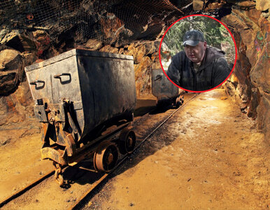 Miniatura: Sensacyjny projekt na Dolnym Śląsku. To...