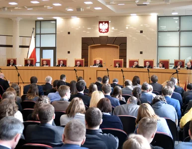 Miniatura: Konstytucjonaliści o wyroku Trybunału...