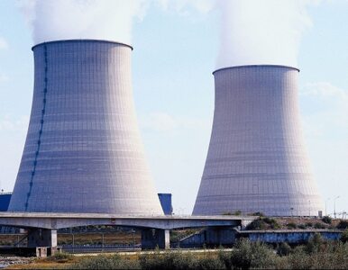 Miniatura: Elektrowni atomowych nie mamy, ale rząd...
