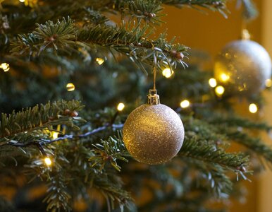 Miniatura: Znasz potrawy wigilijne? Zweryfikujemy w...