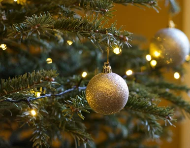 Miniatura: Znasz potrawy wigilijne? Zweryfikujemy w...