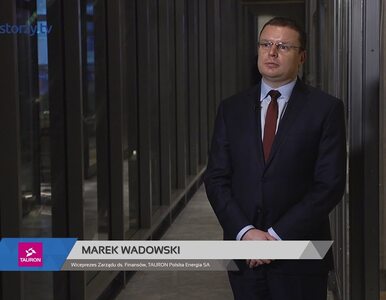Miniatura: TAURON Polska Energia SA, Marek Wadowski -...