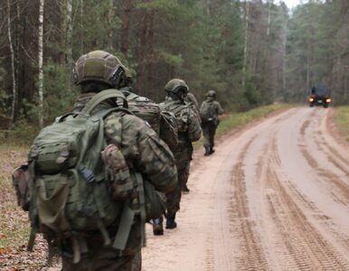Miniatura: Polscy żołnierze zatrzymani przy granicy....