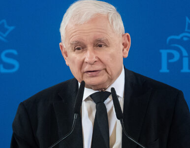Miniatura: Kaczyński ostrzega przed polityką Niemiec....