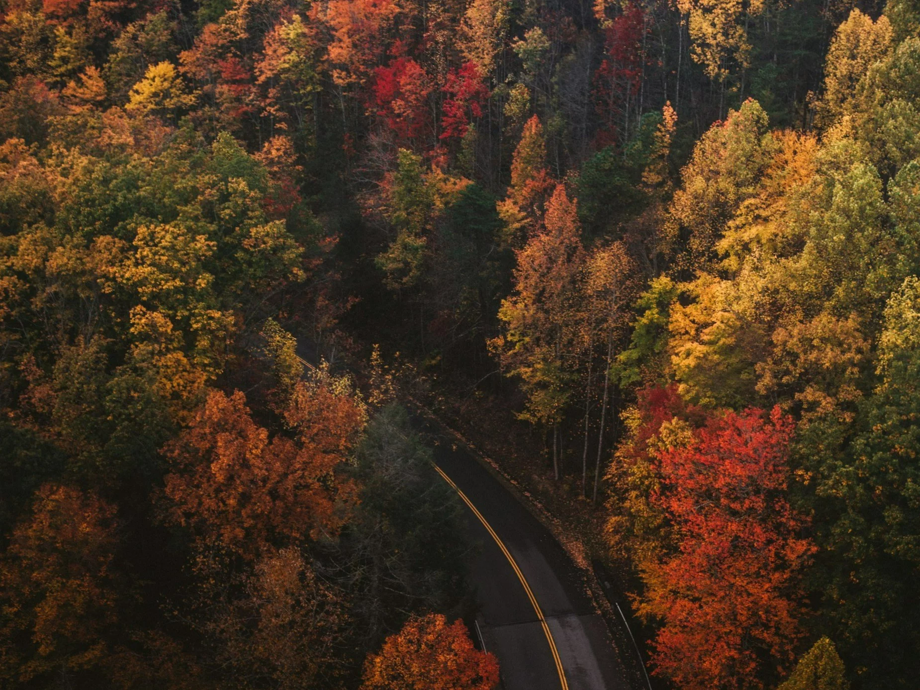 10 piosenek o jesieni. Pamiętasz je?