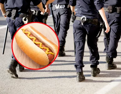 Miniatura: Skandal we Wrocławiu. Policjanci mieli...