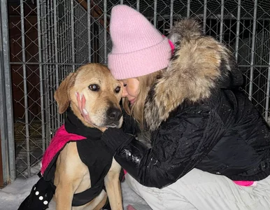 Miniatura: Doda ujawnia bagno w schronisku w Bytomiu....