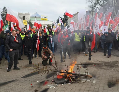 Miniatura: 50 zatrzymanych po proteście rolników....