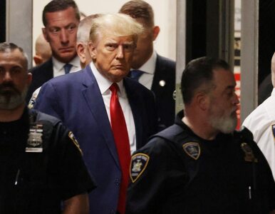 Miniatura: Donald Trump został aresztowany