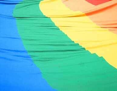 Miniatura: Środowiska LGBT gratulują Dudzie i proszą...