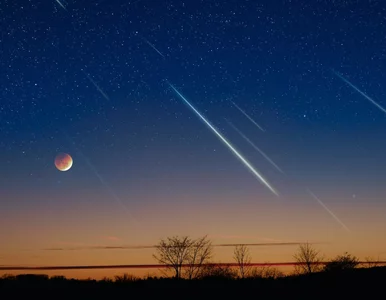 Miniatura: Dziś na niebie deszcz meteorów. Największe...