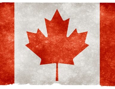 Miniatura: Kanadyjczycy mają 170 mld dol. w rajach...