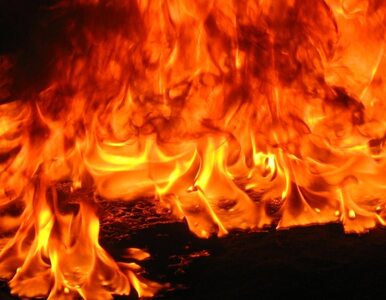 Miniatura: Ogień w fabryce mebli Swedwood w...