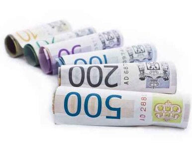 Miniatura: Fałszywe euro zalewają Czechy
