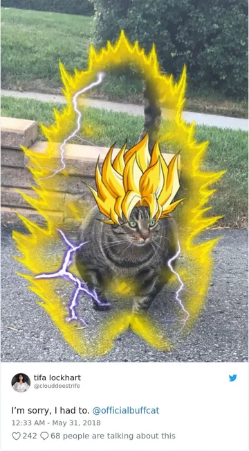 Buff cat jako super saiyan 