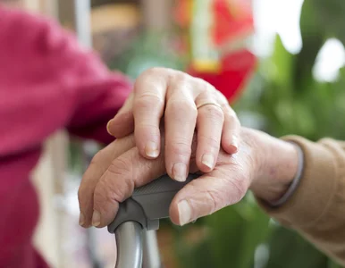 Miniatura: Dieta roślinna a choroba Alzheimera. Nowe...