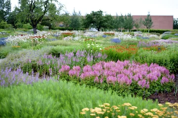 Naturalistyczny ogród Pieta Oudolfa na Vitra Campus w Weil am Rhein – przykład harmonii między dzikością a precyzyjnym projektowaniem 
