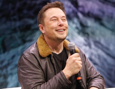 Miniatura: Czekał, teraz kpi. Elon Musk śmieje się z...