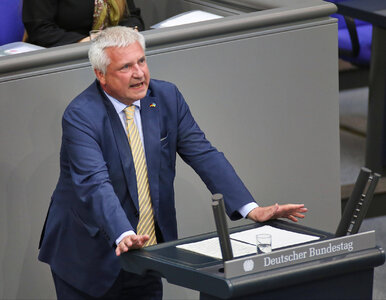 Miniatura: Niemcy pod olbrzymim wrażeniem Polski. Tak...