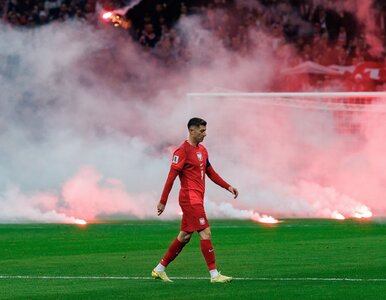 Miniatura: Zapadł wyrok UEFA za skandal z meczu...