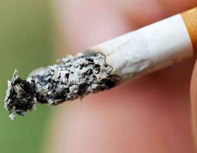Miniatura: Co trzeci Polak pali papierosy