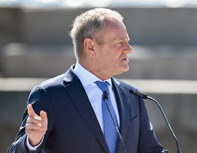Miniatura: Gromy na Tuska po zapowiedzi ws. Trybunału...