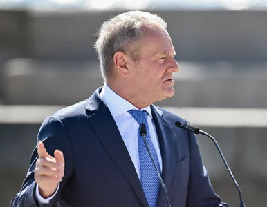 Miniatura: Gromy na Tuska po zapowiedzi ws. Trybunału...